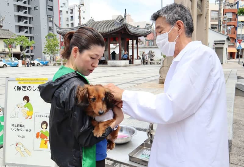 狂犬病 予防接種を 長崎県内実施率71％ 海外で死亡例も 長崎新聞 2019/05/23 [1610] 公開