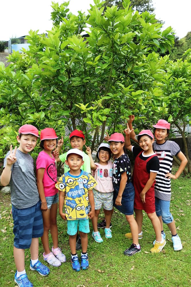 メクル第373号 「やぎクラブ」が人気 佐世保市立江上小 | 長崎新聞