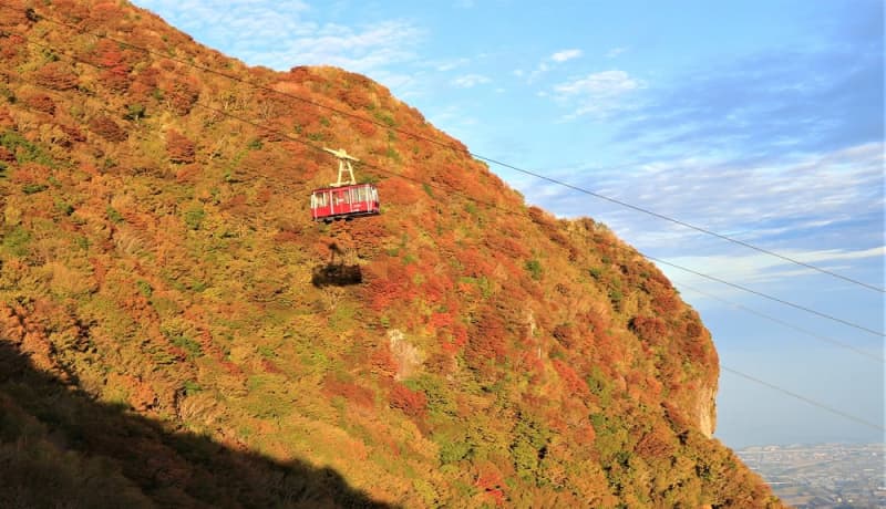 赤やオレンジ 紅葉の仁田峠 空中散歩 雲仙 長崎新聞 19 10 29 10 05 公開