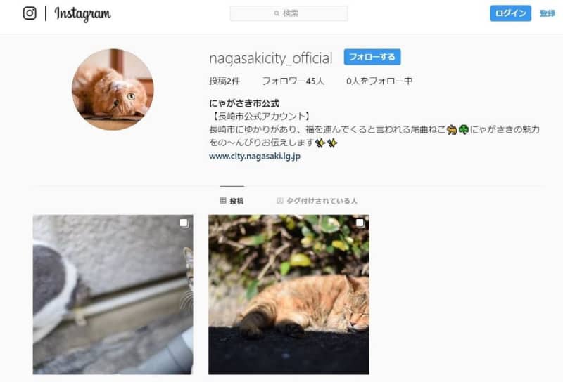 長崎市の魅力 尾曲がり猫 が紹介 市が公式インスタグラム開設 長崎新聞 19 12 03 14 00 公開