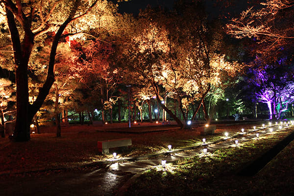 12月 山口市はクリスマス市になる 12月7日 山口市民会館 亀山公園 狐の足あとで催し サンデー山口