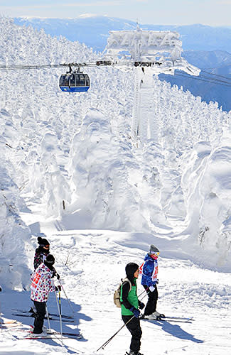 Zao Onsen ski resort where the sun shines on the rime on the trees that shines in the blue sky
