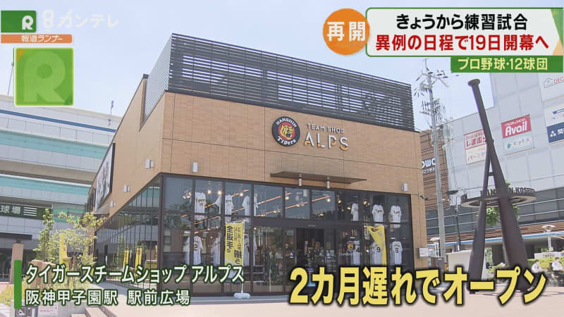 練習 試合 タイガース 阪神