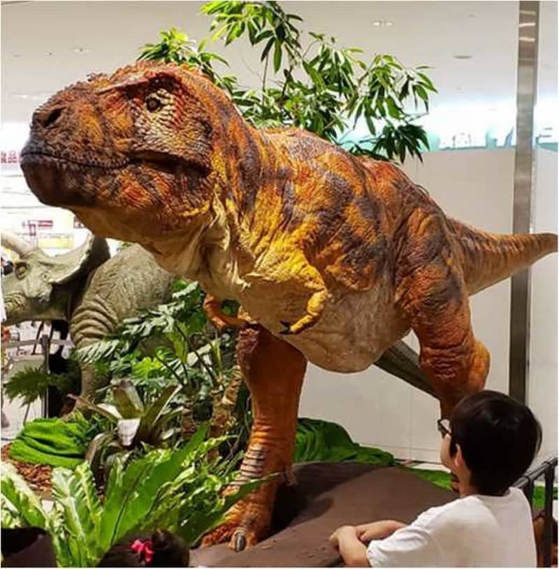 恐竜ロボット展示へ 長崎恐竜博物館 来年開館予定 長崎新聞 06 12 23 45 公開
