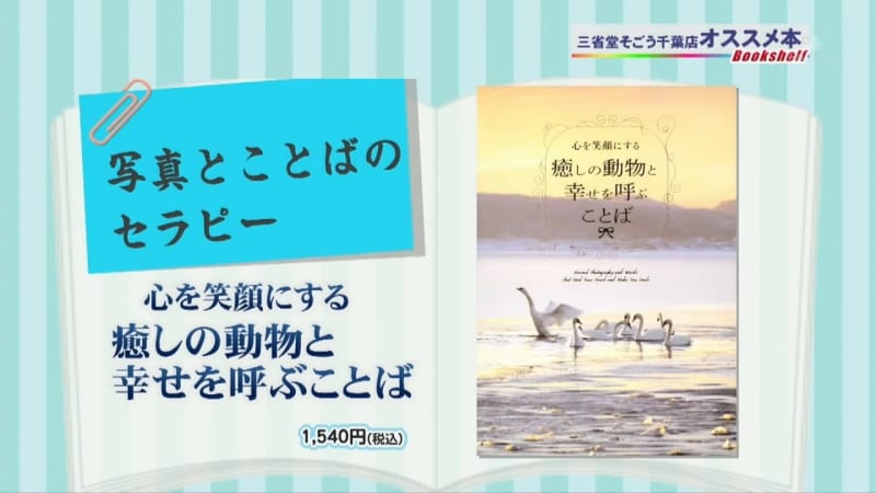 動物に癒されたい オススメ本５選 チバテレ プラス