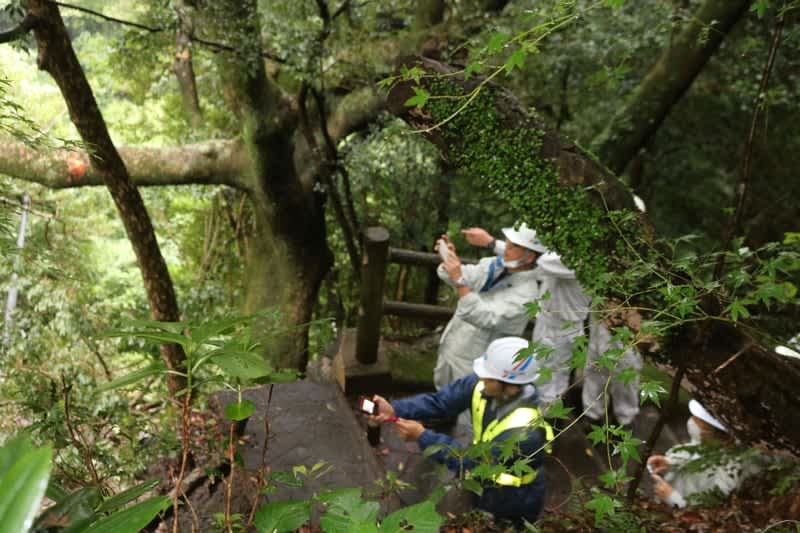 諫早市 大雨が引き金 轟峡の崖崩れ 原因解明へ調査 長崎新聞