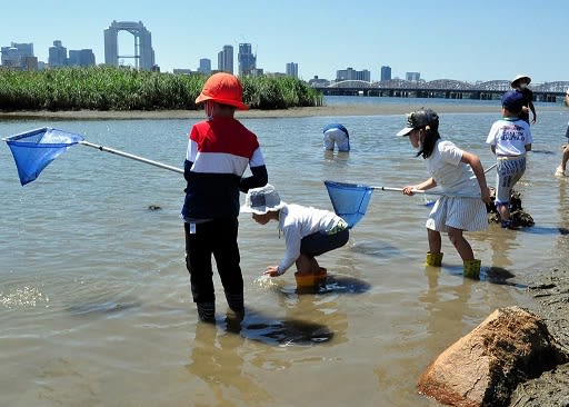 泥んこで生き物観察 淀川アーバンフロント Portalfield News