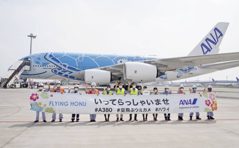 ウミガメ機でハワイ気分味わって 全日空 成田発着の遊覧飛行 共同通信