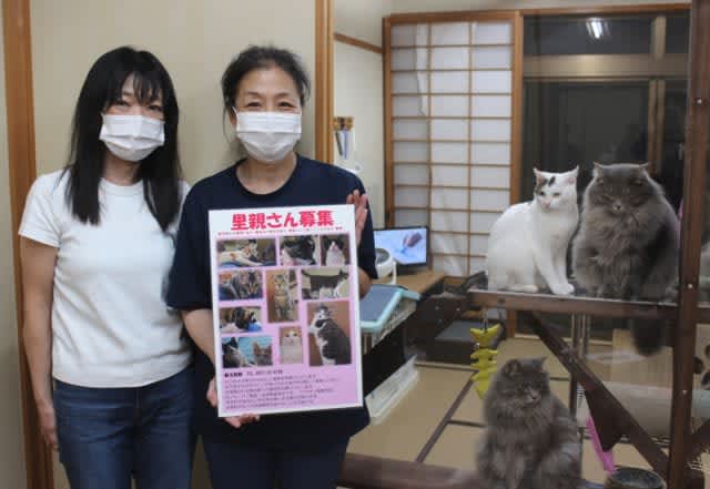 Inn In Beppu City Protecting Protective Cats Pinching The Number Of Customers Making It Difficult To Generate Food For 74 Animals Calling For Assistance Oita Prefecture Portalfield News