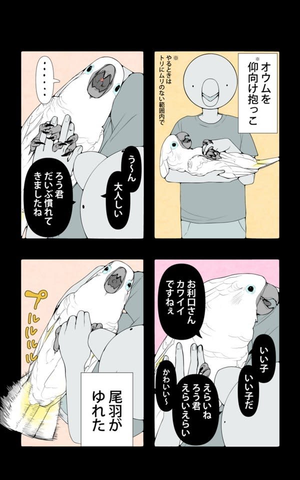 オウムは今日も考えている 第133回 いい子いい子 Portalfield News