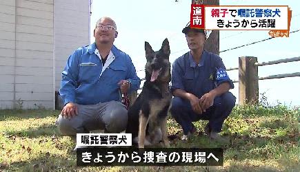 親子で警察犬に ジャーマンシェパードの イヴ 捜査現場へ 北海道江差町 Portalfield News