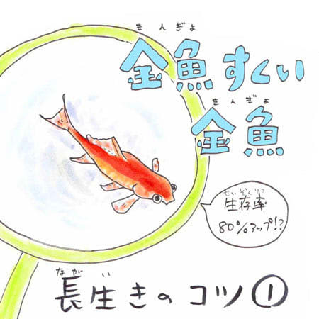 豆知識 金魚すくいで取った金魚が長生きする方法 勉強になった 今度やってみます とツイッ Portalfield News