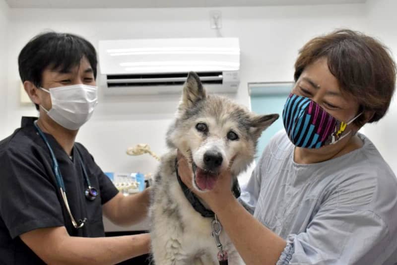 犬の プリン 元気に25歳 もりもり食べて 散歩も 人の年齢なら1歳超 桜川 Portalfield News