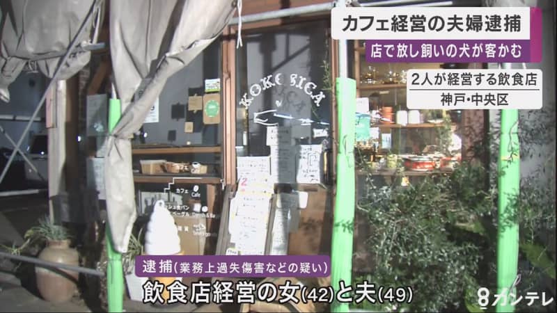 カフェの店内で放し飼いの犬にかまれ客２人けが 経営者の夫婦を逮捕 Portalfield News