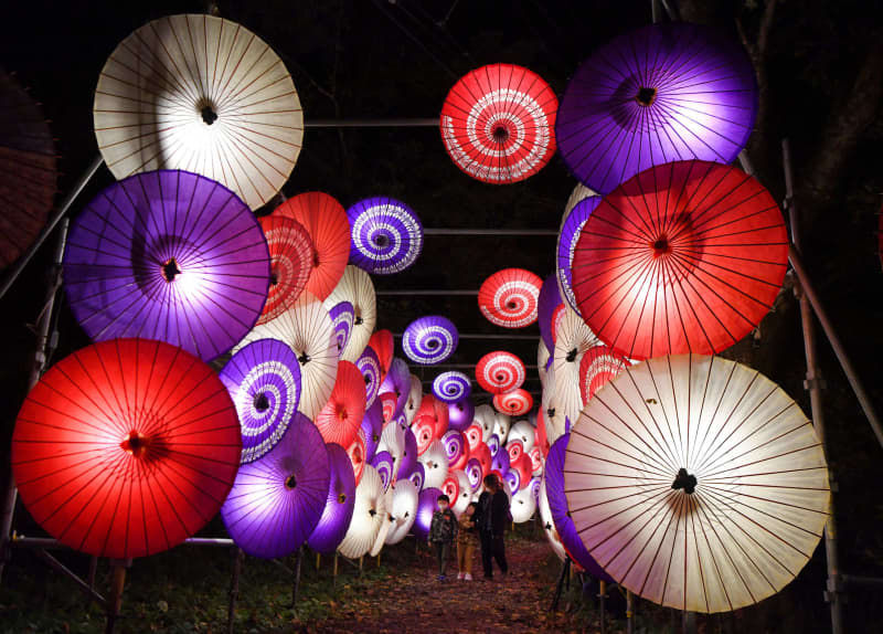 鳥取 大山寺 花を添える和傘 ライトアップ 今年で9回目 共同通信