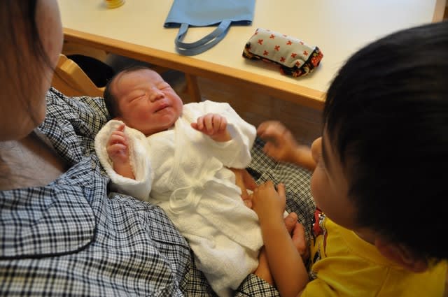 赤ちゃんってどうやってできるの いつからどう教えている 性教育 小さい子 障害を持つ子へ Portalfield News