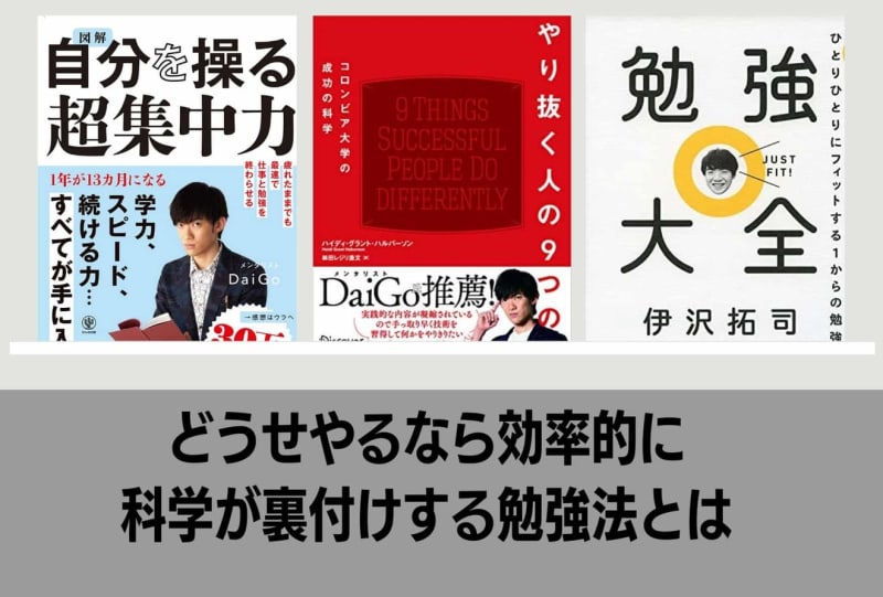 最短の時間で最大の成果を手に入れる 超効率勉強法 を要約 人生を最大化する勉強法とは Portalfield News