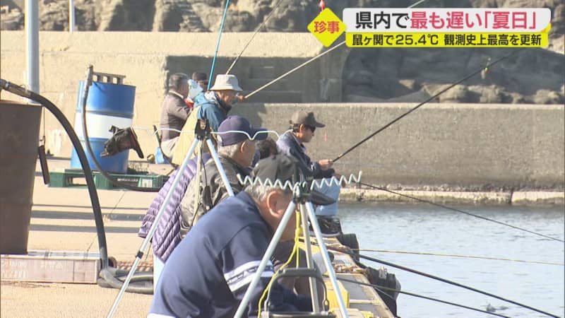 鶴岡市鼠ヶ関で季節外れの 夏日 に 散歩中の犬もヘトヘト 山形 Portalfield News