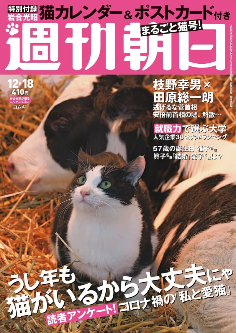 📚｜何から何まで猫づくし！ 「週刊朝日」の「一冊丸ごと猫号 