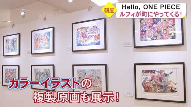 Search Results For One Piece Page 3 Portalfield News