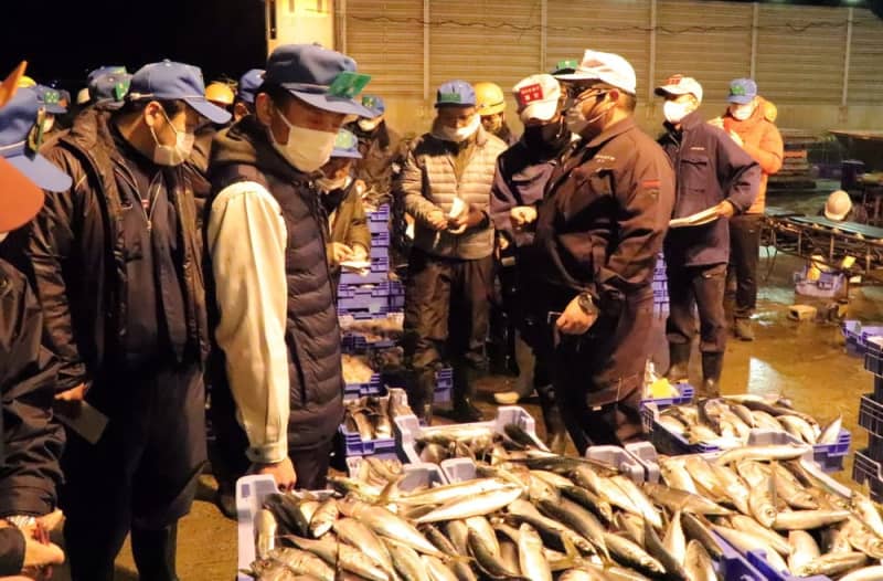 威勢のいい掛け声響く 松浦魚市場で初競り 長崎新聞