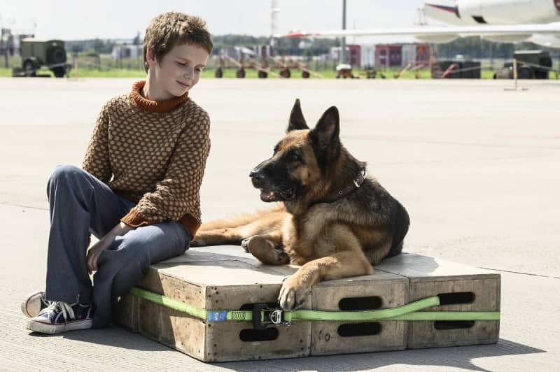 モスクワの空港で飼い主待ち続ける犬のパルマと少年コーリャの絆 映画 ハチとパルマの物語 特報公開 Portalfield News