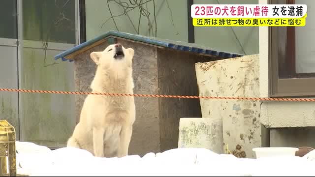 ２３匹の犬を飼い虐待 女を逮捕 県内初 動物愛護法違反の疑い 岩手 宮古市 Portalfield News