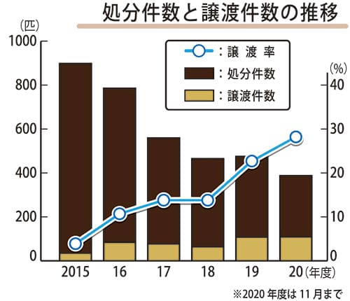 ネコの殺処分 減らそう 佐世保市職員有志「ネコネコ団」 地道な活動