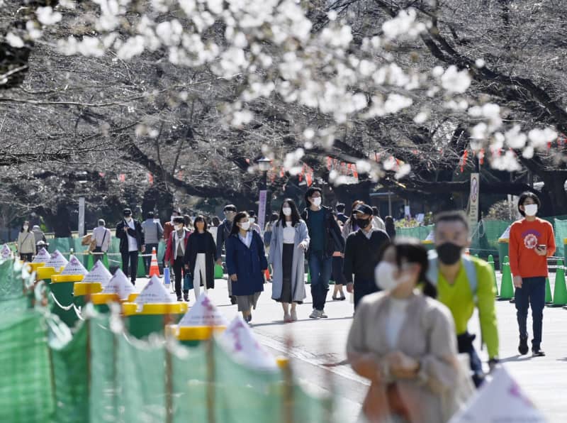 花見 繁華街は既ににぎわい 首都圏 解除前から緩み 共同通信