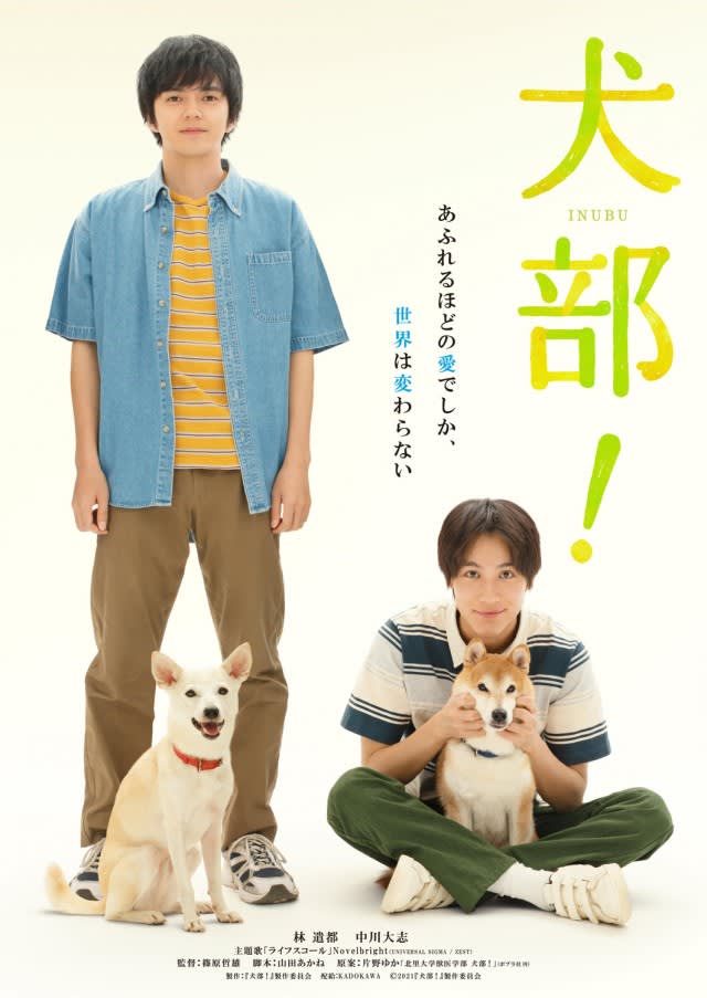 Kento Hayashi Taishi Nakagawa Inube Release Date Decided The Theme Song Is A New Song Written By Novelbright Portalfield News