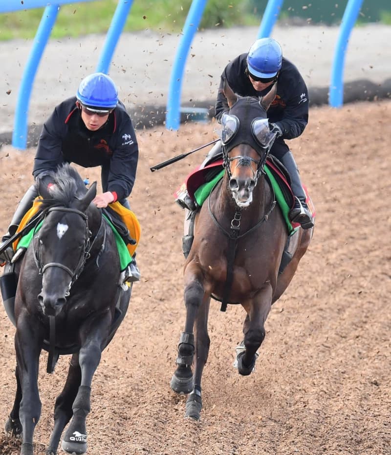 Akbxnumx New Ace Of Reiwa Mizuki Yamauchi Interview Tokyo D Performance Never Give Up Portalfield News