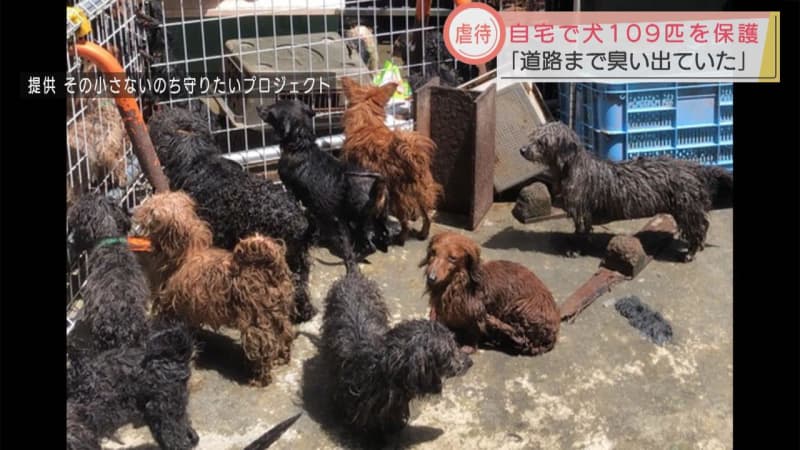 ペットショップ廃業後に犬が繁殖か 狭い敷地で多頭飼育の容疑で逮捕された女 静岡 富士市 Portalfield News