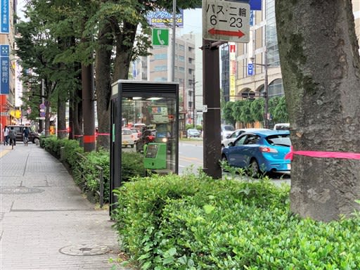 森の都 原点返り再考を 熊本市の街路樹伐採計画 元熊日記者 矢加部和幸 熊本日日新聞