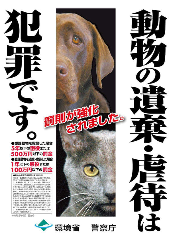 4匹全て死ぬ ごみ袋に子猫遺棄 猫捨てるのは犯罪 命大切に 長崎新聞 21 06 17 10 00 公開