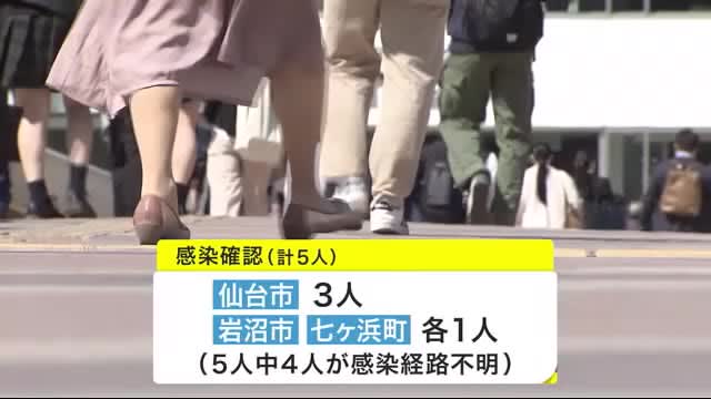 宮城県 の検索結果 Portalfield News