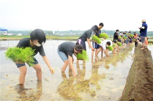 田んぼハイスクール 開校 水の役割 学んで発信 熊本県菊陽町で 熊本日日新聞