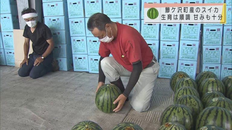 サンリオ にわかせんぺい の人気土産がオンライン販売に おまけも付いてるよ Portalfield News