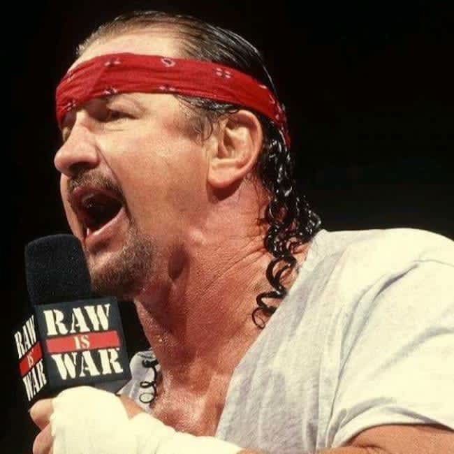 Terry funk