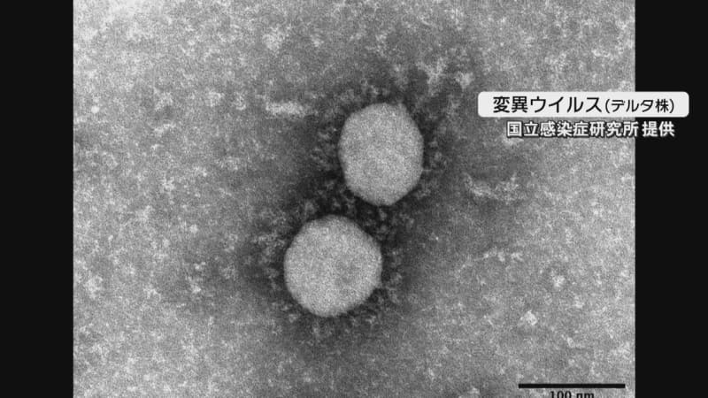 若年層 と 子供の感染 などが急増 大分県内の新型コロナウイルス 第５波 の特徴は Portalfield News