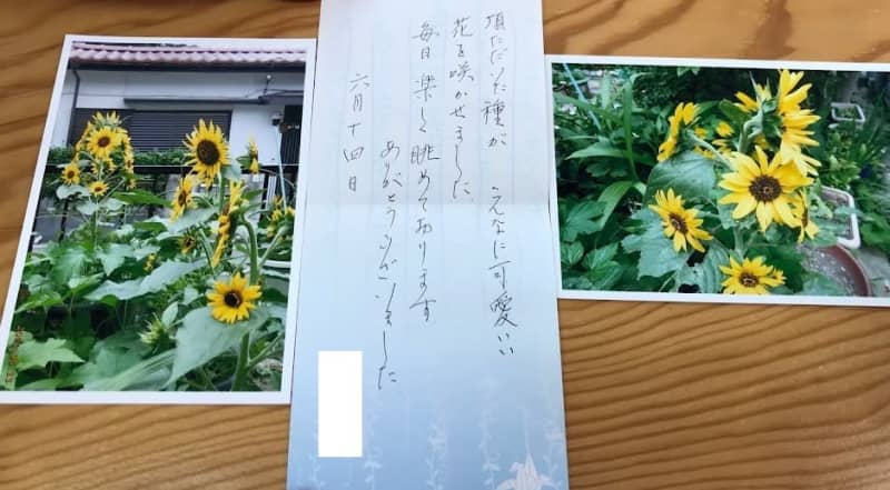 コロナに負けるな 人と人つなぐ ひまわりプロジェクト 笑顔と大輪の花咲き誇る チバテレ プラス
