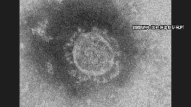 速報 新潟県内 新たな感染者確認されず 6月29日以来 新型コロナウイルス Portalfield News 速報 新潟県内 新たな感染者確認されず 6月29日以来 新型コロナウイルス Portalfield News