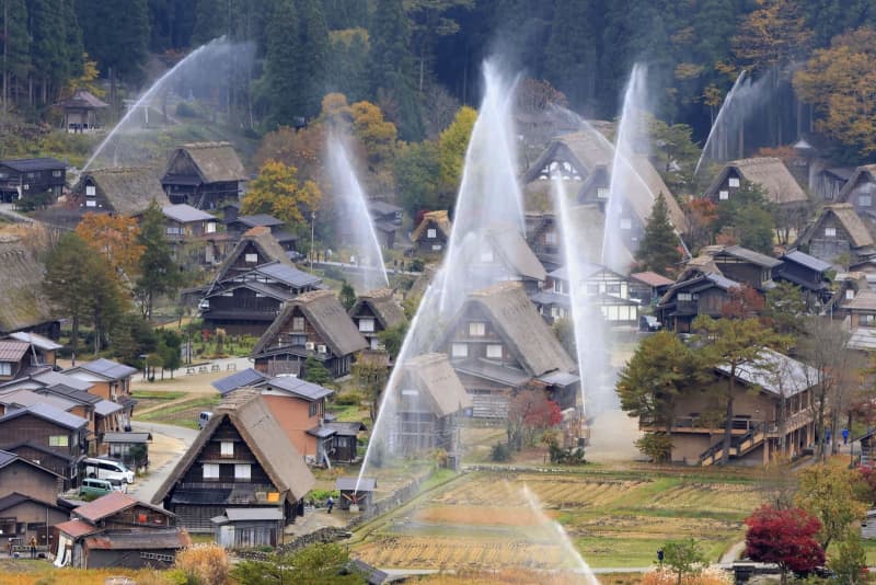 紅葉の中 合掌造りに水柱輝く 世界遺産 白川郷で放水訓練 共同通信