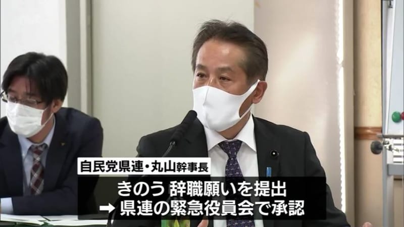 自民党宮崎県連 丸山幹事長が辞任 衆院選宮崎1区公認候補敗退で引責 Portalfield News 自民党宮崎県連 丸山幹事長が辞任 衆院選宮崎1区公認候補敗退で引責 Portalfield News