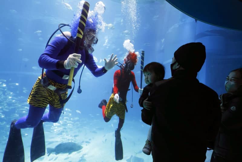 巨大水槽に 鬼 ダイバー 節分前の風物詩 大阪 海遊館 共同通信
