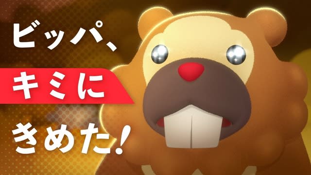 Search Results For Pokemon Portalfield News