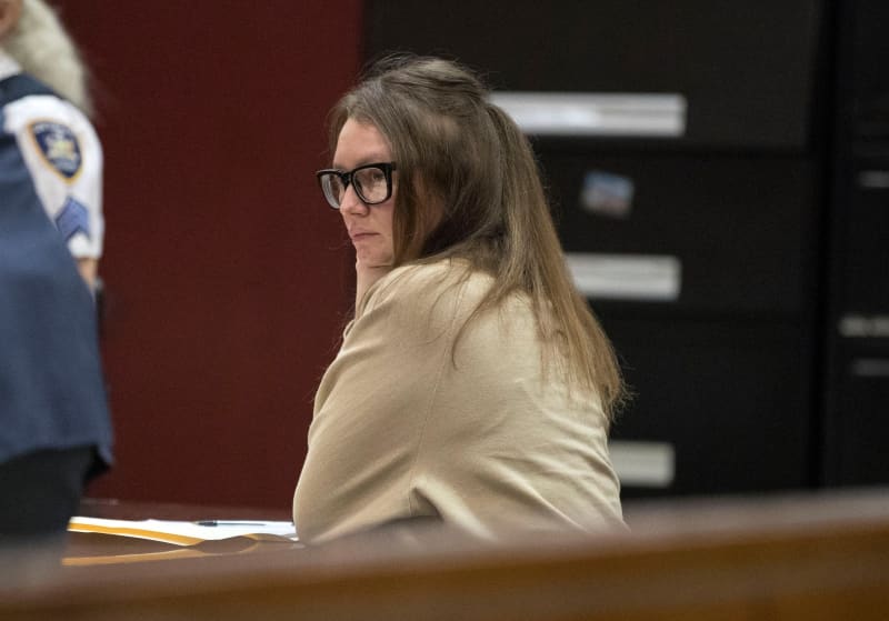 Who Is Anna Delvey? All You Need To Know About The Real Life Scammer Anna Sorokin Who Worked Her Way Into New York Society: Photos 10 origin 1