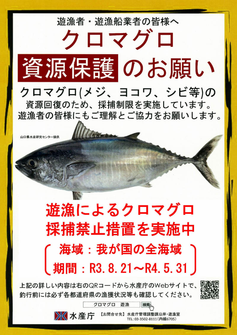 趣味のマグロ釣りに漁獲枠 管理強化 水産基本計画で 共同通信