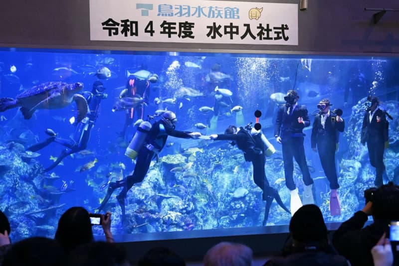 魚に囲まれ 水中入社式 鳥羽水族館 初仕事にも挑戦 共同通信