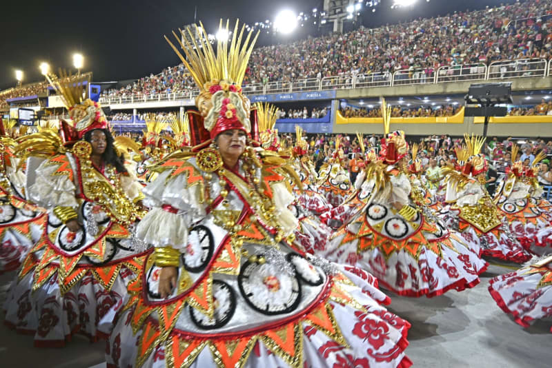 リオのカーニバル最高潮 2年ぶりに開催 共同通信