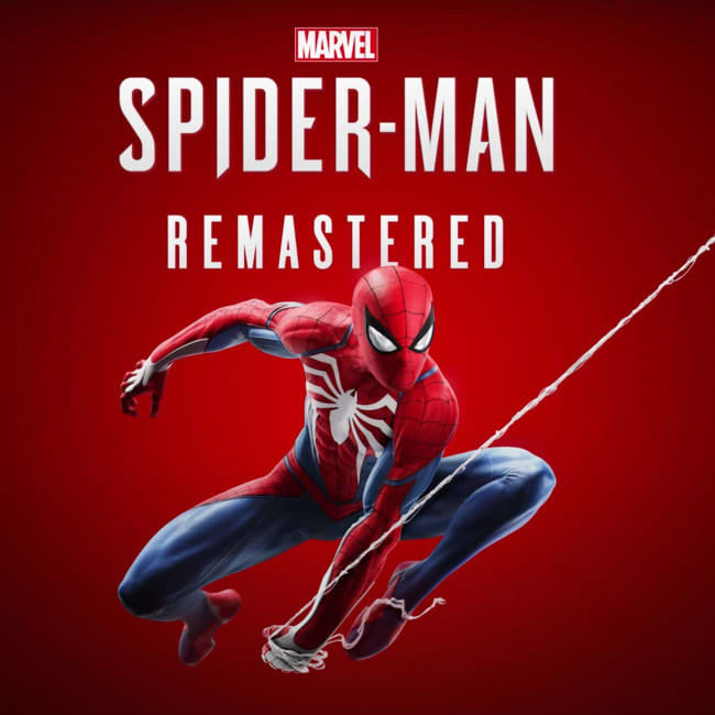 Spider-Man: The Movie - PC